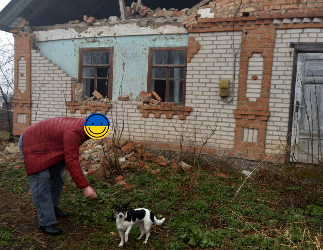 Dog Rescued From Ukraine